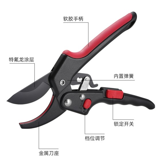 果树修枝剪树枝粗枝园艺剪刀花艺花卉枝剪子剪枝园林工具花剪修剪