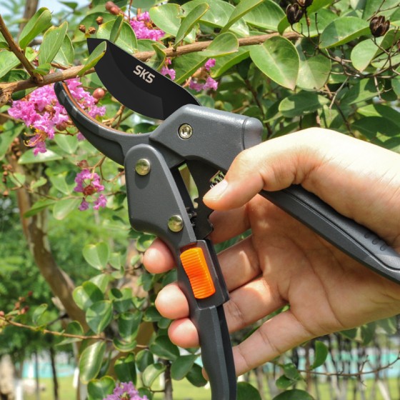 SK5不锈钢果树修枝剪园林剪刀花卉摘果多功能修枝剪园艺工具批发