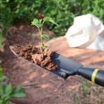 加厚铁锹园艺小铲子花铲家用盆栽种花养花工具铁铲户外挖土挖野菜