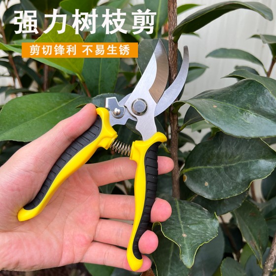 不锈钢修枝剪多功能园艺剪刀果园花枝嫁接树枝剪园林树枝工具剪