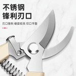 跨境果树修剪枝剪刀不锈钢粗枝剪园林园艺剪刀摘果剪剪枝专用剪子