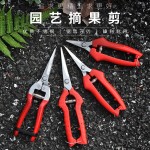 摘果剪园艺修枝剪稀果剪刀水果蔬菜采摘葡萄剪子园艺剪花椒剪刀
