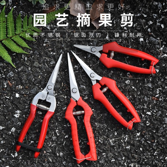 摘果剪园艺修枝剪稀果剪刀水果蔬菜采摘葡萄剪子园艺剪花椒剪刀