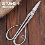 加厚不锈钢修枝剪园艺盆栽嫩芽修剪长柄剪刀摘花椒神器