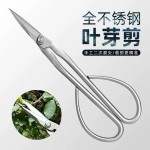 加厚不锈钢修枝剪园艺盆栽嫩芽修剪长柄剪刀摘花椒神器
