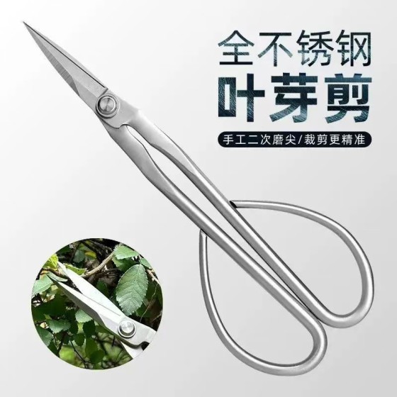 加厚不锈钢修枝剪园艺盆栽嫩芽修剪长柄剪刀摘花椒神器
