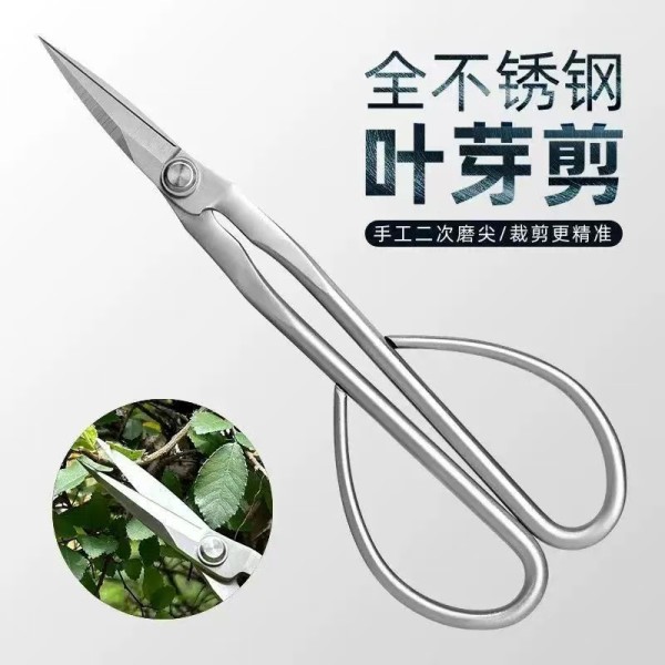 加厚不锈钢修枝剪园艺盆栽嫩芽修剪长柄剪刀摘花椒神器