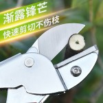 SK5钢修枝剪刀园林果树粗枝花剪强力修剪树枝园艺园林剪刀剪子