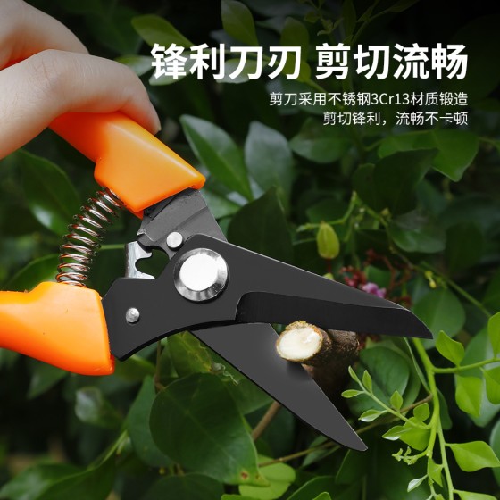 【工厂直发】园林工具修枝剪盆景园艺剪修剪树枝剪刀花艺剪刀