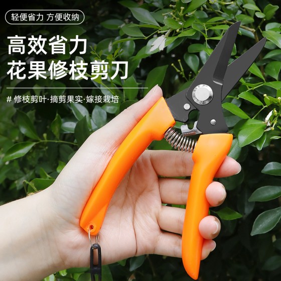 【工厂直发】园林工具修枝剪盆景园艺剪修剪树枝剪刀花艺剪刀