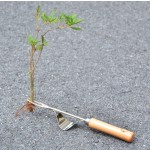 园艺拔草工具不锈钢起根器除草器松土器拔草铲挖草器挖根器起苗器