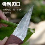 园林嫁接刀芽接刀园艺小刀锋利手工刀果树修枝刀苗木多功能刀修枝