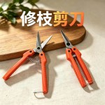 园林果树花卉枝嫁接园艺剪刀工具不锈钢树枝修枝剪采摘水果花木剪