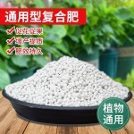 玉肥盒盆景肥料盒施肥盒肥架玉肥带盖盒通用型缓释盒植物盒塑料盒
