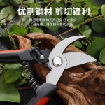 【工厂直发】果树花园修枝剪刀园艺剪刀绿化园林工具耐用省力款