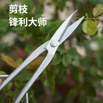 叶芽剪手工锻打园艺长柄树枝剪盆栽园艺盆景小枝切铗整枝修剪工具