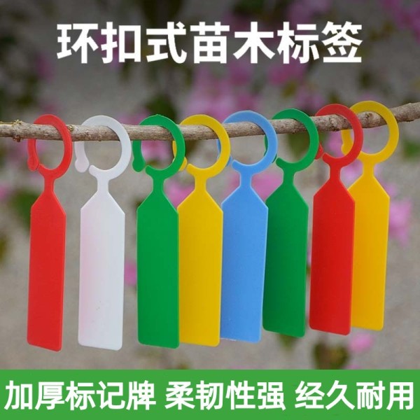彩色悬挂式植物记号卡分类色卡环套标签塑料加厚挡水标记牌花卉