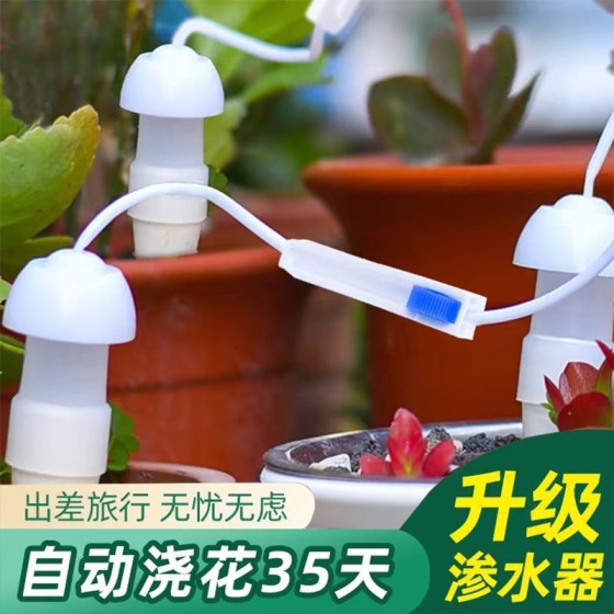 源头工厂现货批发小型自动浇花陶瓷渗水器浇水滴灌器外出出差懒人