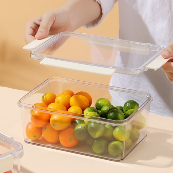 保鲜盒食品级冰箱收纳盒透明密封盒冷冻食物泡菜水果大容量整理盒