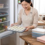 食品级饺子盒冰箱专用收纳盒冷冻盒子家用放水饺馄饨速冻保鲜托盘
