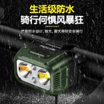 飞利浦SFL1341RHG自行车灯前灯夜骑山地公路骑行灯户外强光手电筒