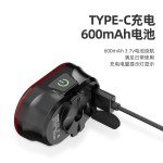 CYCLAMI自行车灯USB充电公路车夜骑行刹车灯智能感应骑行尾灯山地