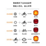 自行车智能感应警示刹车尾灯 山地公路车彩色夜骑行USB充电警示灯