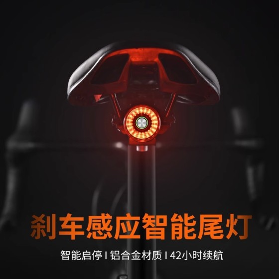 路迈威尾灯 SR1自行车夜骑后尾灯智能刹车感应山地公路车骑行装备