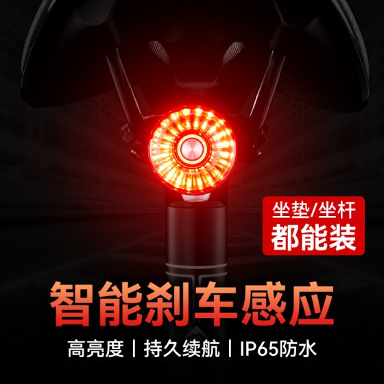 路迈威尾灯 SR1自行车夜骑后尾灯智能刹车感应山地公路车骑行装备