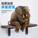 不锈钢比利支架三角支架折叠弹簧支架层板托墙壁置物架微波炉支架