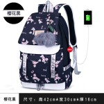 跨境书包双肩包女初中生高中生大学生多隔层旅行背包轻便电脑书包