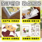 手工树叶贴画diy材料包创意手工天然压花植物标本课件幼儿园活动