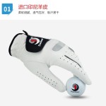 正品Dominant男士高尔夫手套男款印尼小羊皮全羊皮左手特价新款