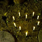 亚马逊新款太阳能蜡烛草坪灯户外防水地插灯花园装饰氛围灯一拖十