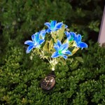 太阳能百合花灯户外灯庭院灯别墅景观防水地插灯花园装饰灯草坪灯