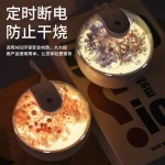 跨境花朵加湿器创意家用车载香薰多功能保湿喷雾永生花加湿器小型