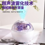 跨境花朵加湿器创意家用车载香薰多功能保湿喷雾永生花加湿器小型