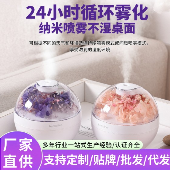 跨境花朵加湿器创意家用车载香薰多功能保湿喷雾永生花加湿器小型