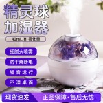 跨境花朵加湿器创意家用车载香薰多功能保湿喷雾永生花加湿器小型