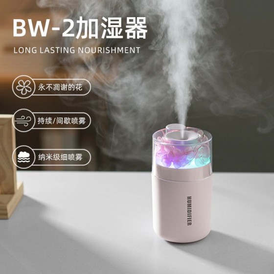 新款创意永生花加湿器 大雾量usb夜灯家用迷你空气车载加湿器跨境