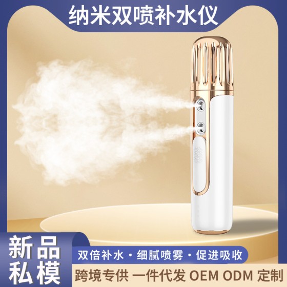 面部双喷润肤仪便携式脸部保湿蒸脸器冷喷机加湿喷雾仪测试补水仪