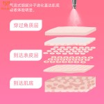 跨境注氧仪院用高压纳米补水光蒸脸仪精华导入手持家用喷雾美容仪