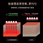 现货美容面罩批发黑色面部美容仪光子嫩肤面膜仪美白面罩美容仪