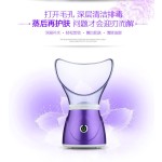 新款蒸脸器负离子蒸脸器加湿补水仪雾化美容蒸脸仪厂家