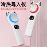 跨境小冰锤冷热导入仪 红蓝光冰敷仪热敷仪脸部震动按摩美容仪器