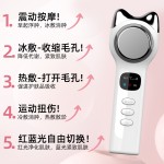 跨境小冰锤冷热导入仪 红蓝光冰敷仪热敷仪脸部震动按摩美容仪器