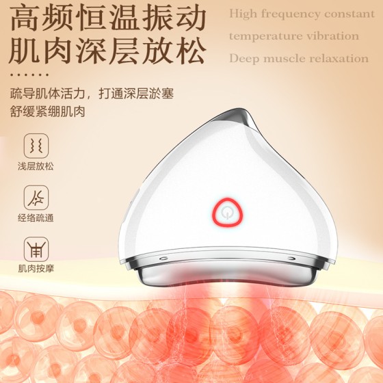 跨境家用脸部按摩器一体机多功能面部美容仪导入电动刮痧仪