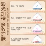 跨境家用脸部按摩器一体机多功能面部美容仪导入电动刮痧仪