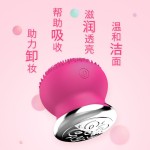 跨境爆款脸部按摩仪家用便携式精华护肤美容仪微电流美容院导入仪