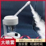 110V蒸脸器热喷仪美容院喷雾蒸脸机脸部蒸汽美容仪补水蒸脸仪家用
